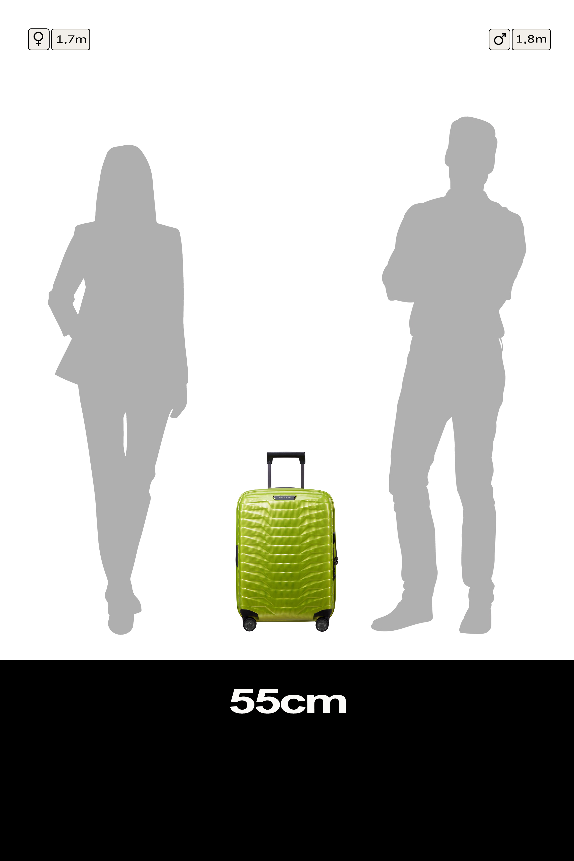 Proxis Spinner 55cm Expandable