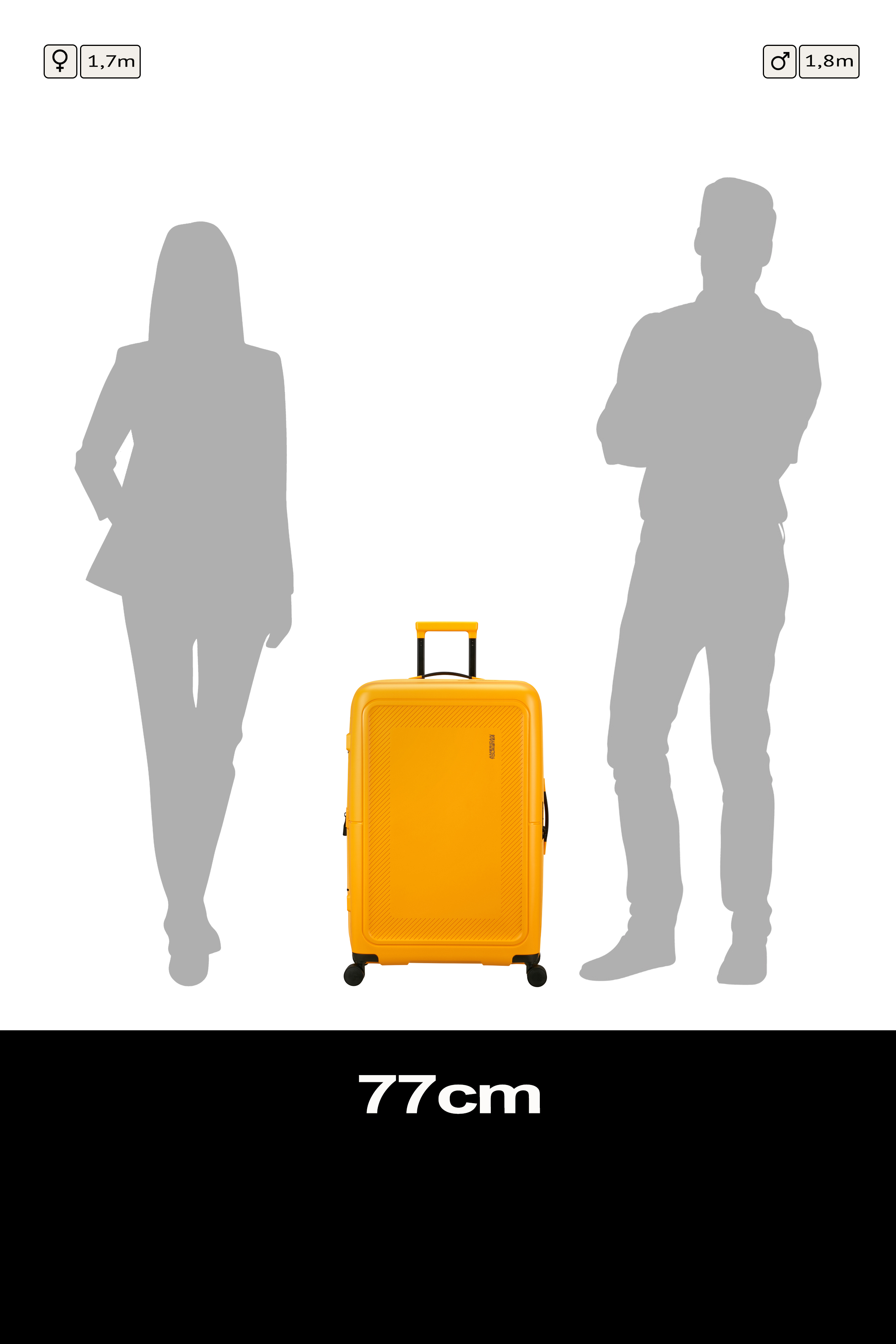 Dashpop Spinner 77cm Expandable TSA