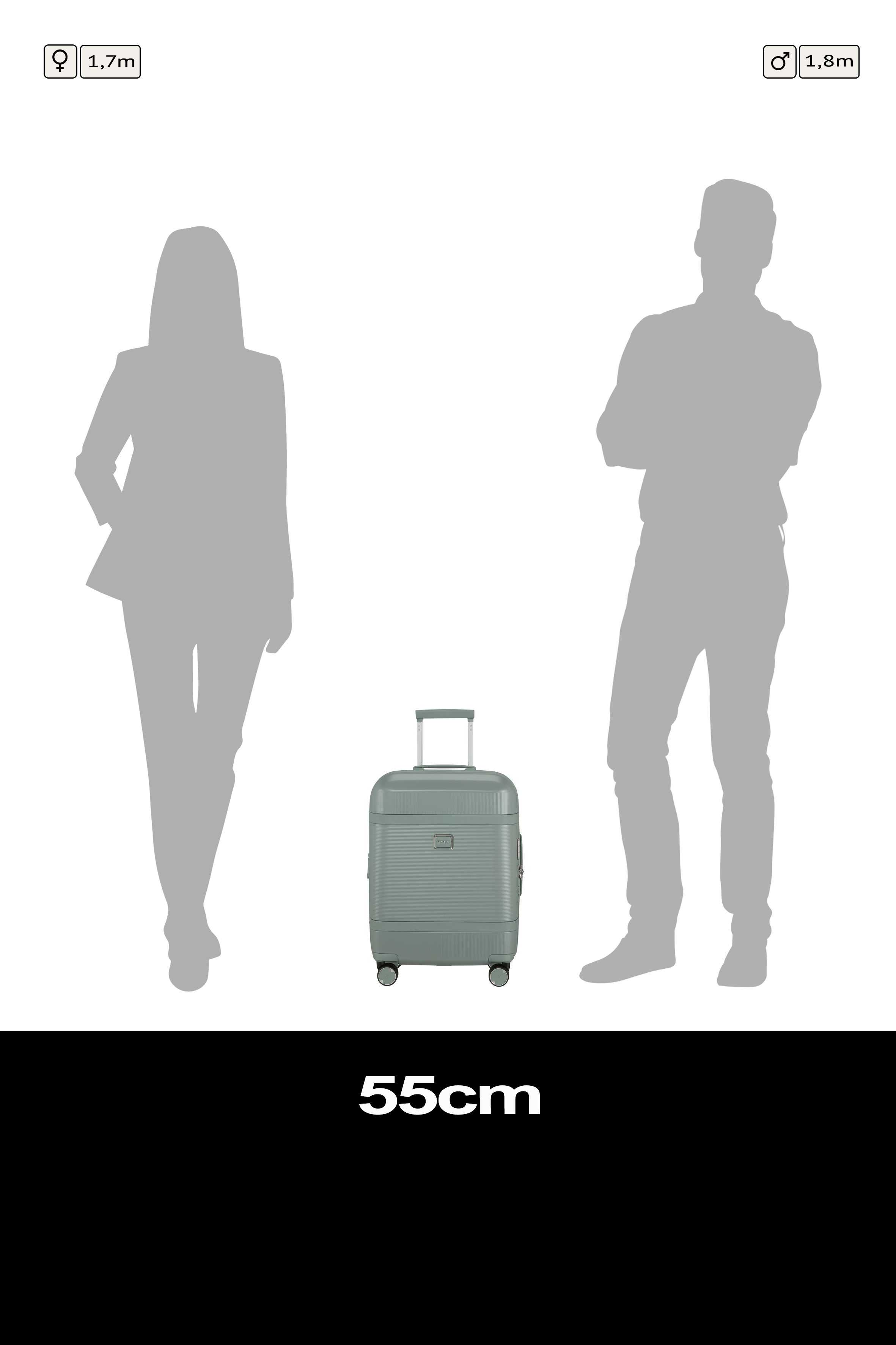 Image Spinner 55cm Expandable