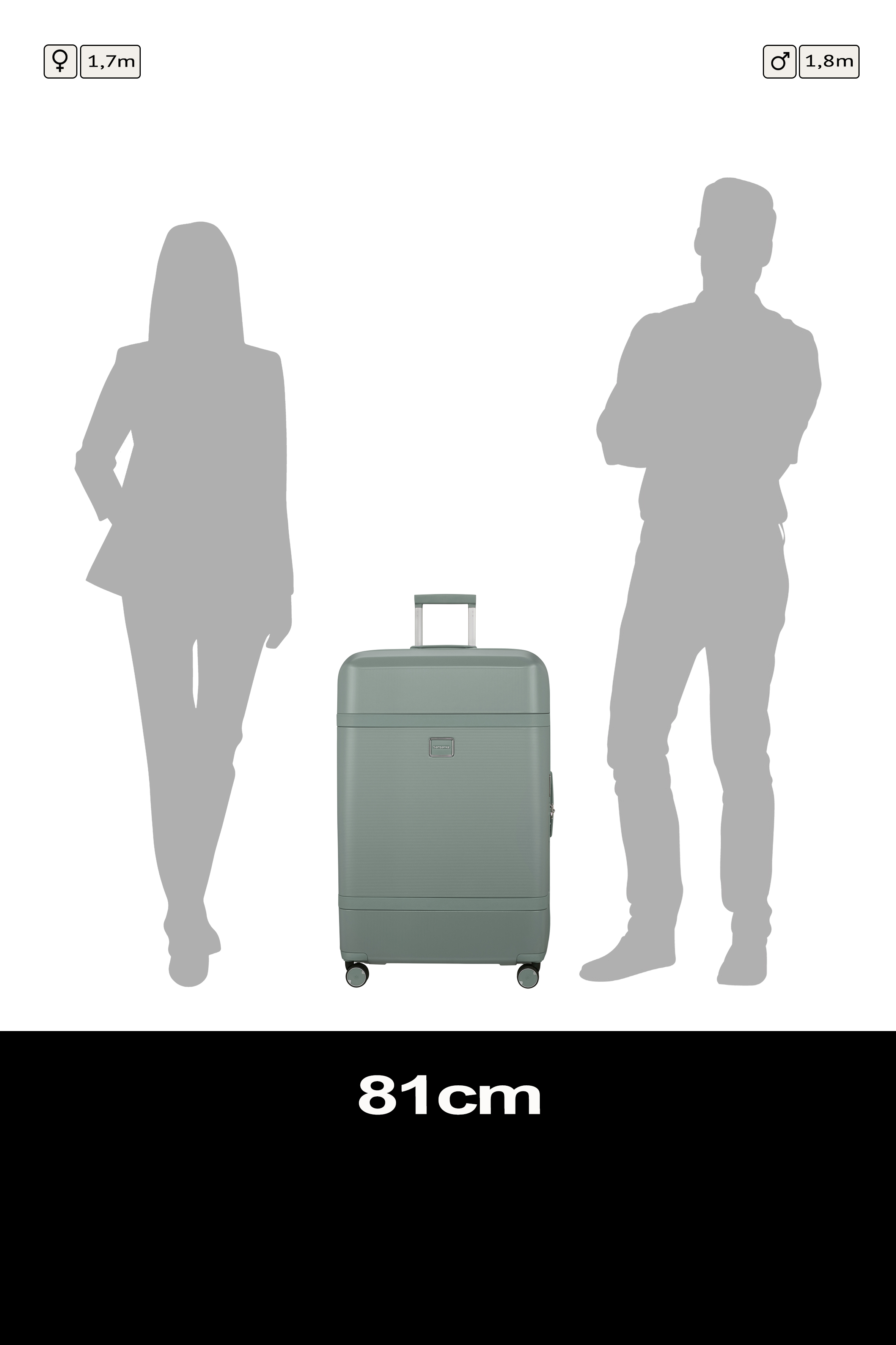 Image Spinner 75cm Expandable